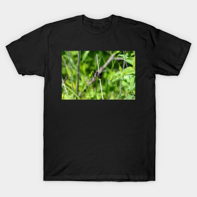 Dragonfly T-Shirt by Drgnfly4free